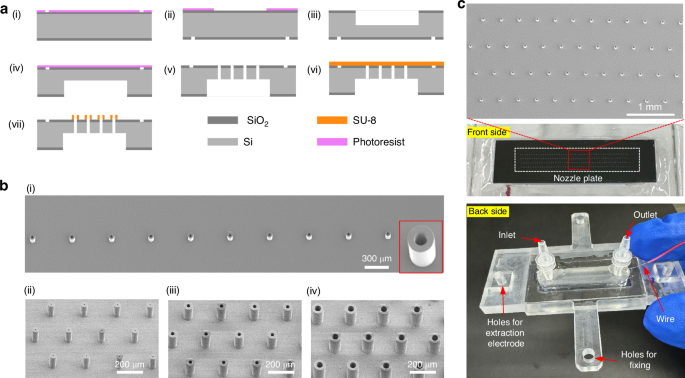 Fig. 3: Preparation and integration of arrayed EHD printhead.