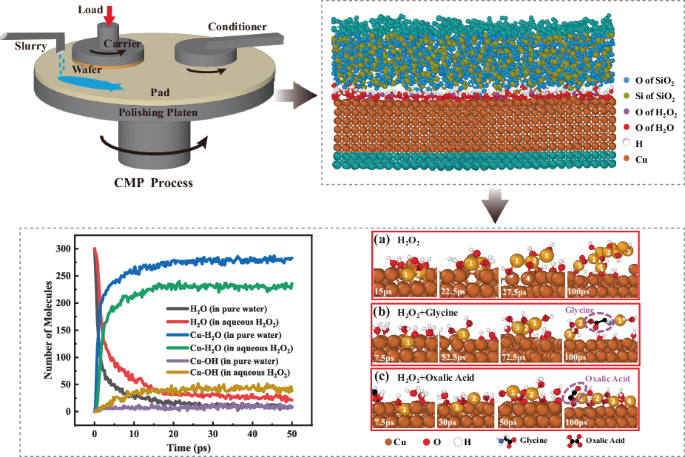 Study on polishing mechanisms of BEOL metal interconnects based on ...