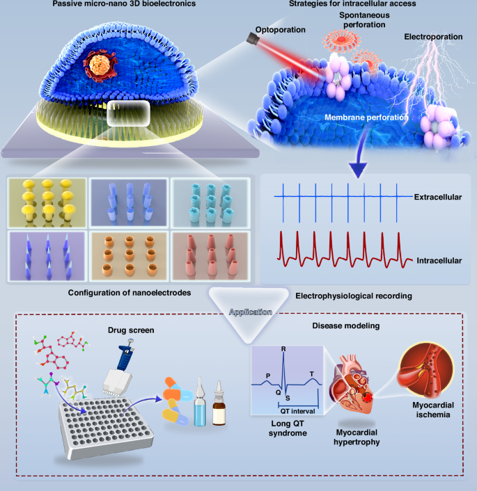 Fig. 1: Advanced passive 3D bioelectronics system for studying cardiac electrophysiology.