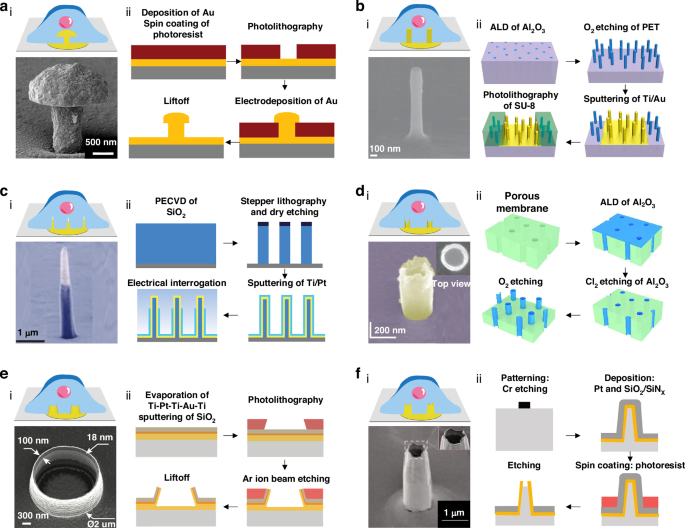 Fig. 2: Innovative designs for electrode-tissue interfaces.