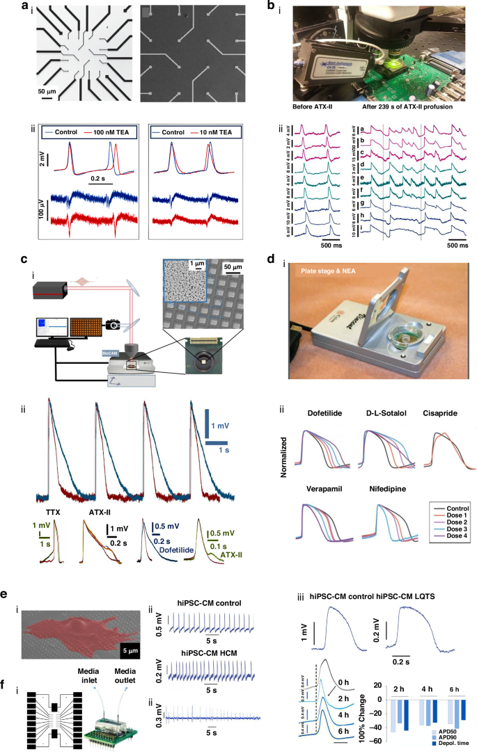 Fig. 4: 3D bioelectronic platforms for drug testing and disease modeling.