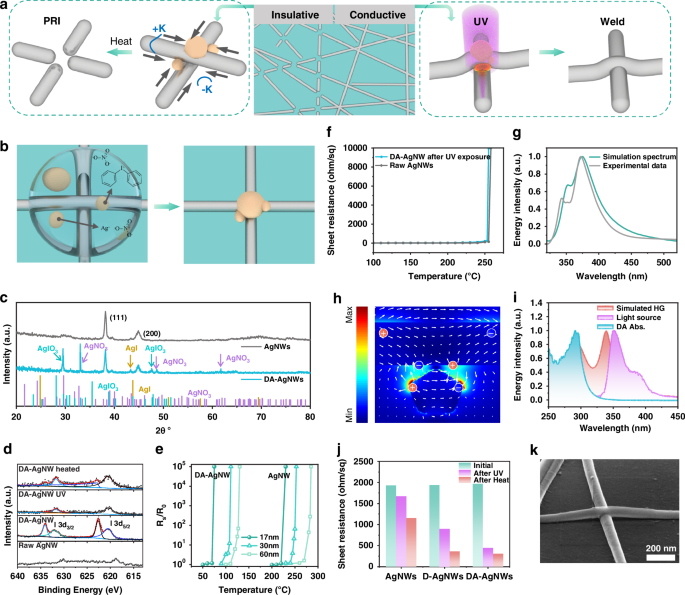 Fig. 2: DA self-assembly–driven AgNW fragmentation and UV-induced AgNW welding.