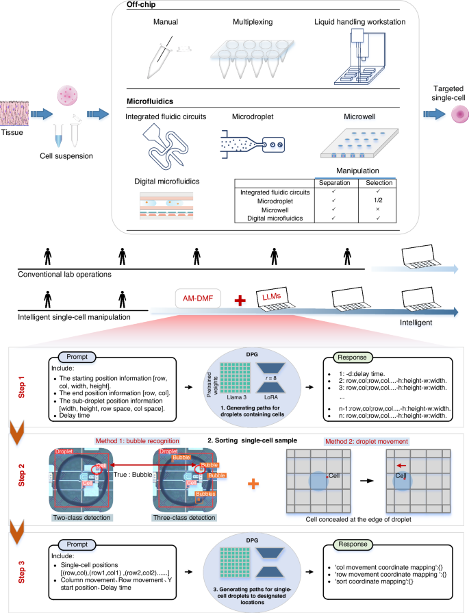 Fig. 1: AI-enabled high-throughput SCSM on an AM-DMF system.
