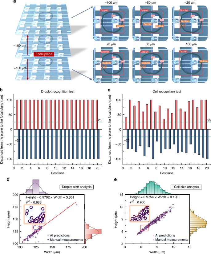 Fig. 3: Droplet and cell recognition performance tests at various imaging planes, as well as droplet and cell data analysis.