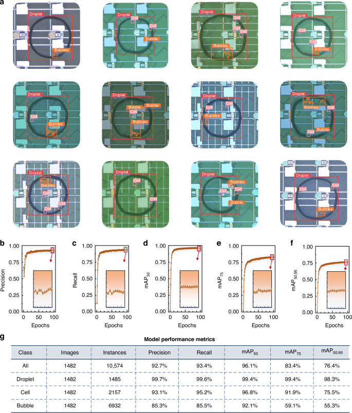 Fig. 4: Model generalizability testing.