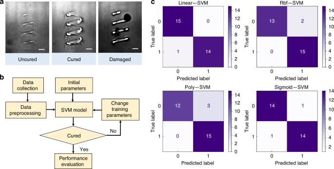 Fig. 2: SVM-based prediction workflow and model performance evaluation for MSFS cured.