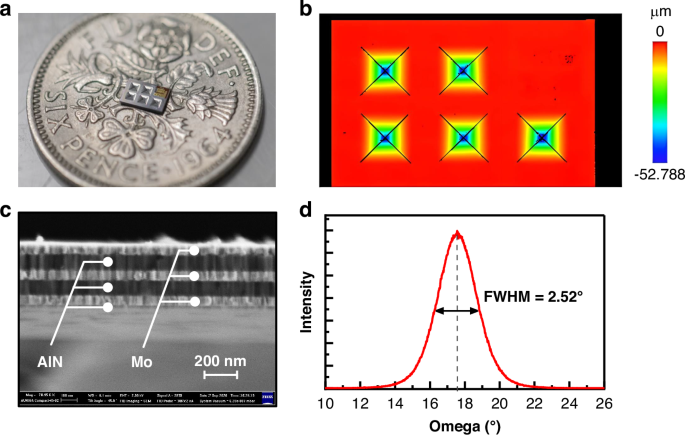Fig. 6: Fabricated high-FOM speaker.