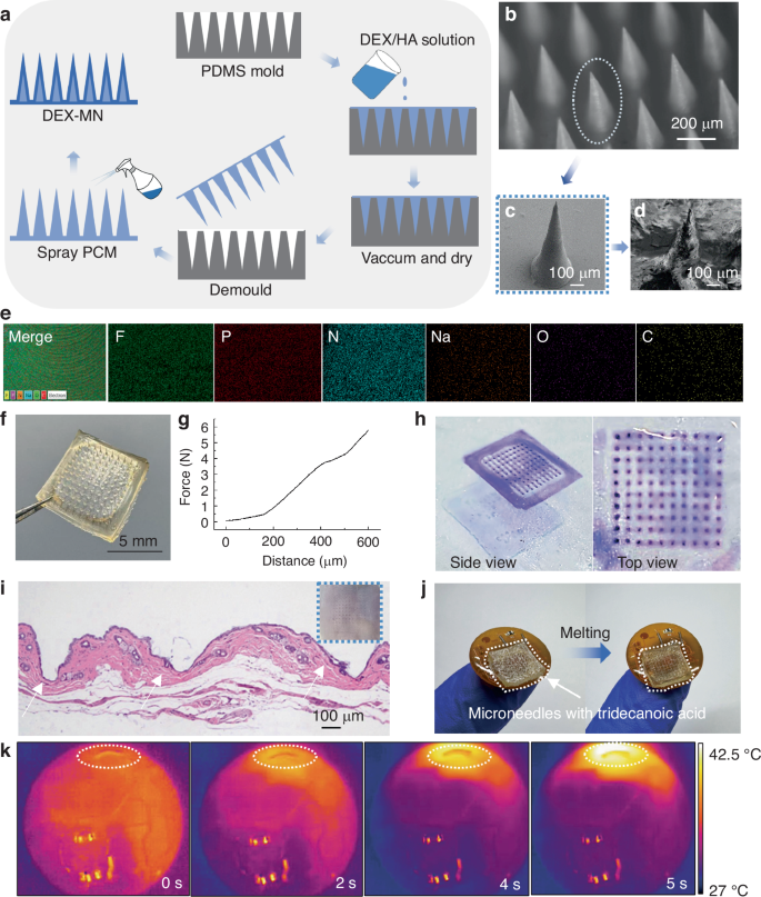 Fig. 4: Thermoresponsive microneedles.