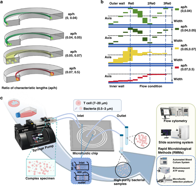 Fig. 1: Overview of the dean migration mechanism.