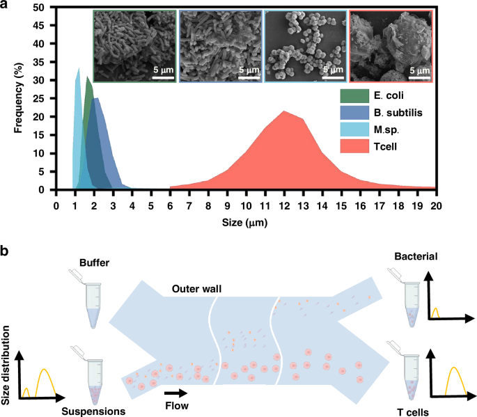 Fig. 2: Size cut-off design.