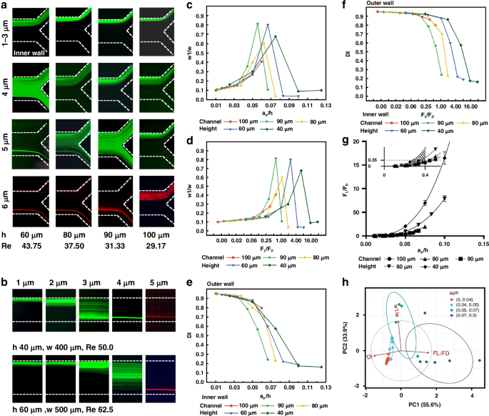 Fig. 4: Shows how feature length (ap, h) affects particle migration focusing.