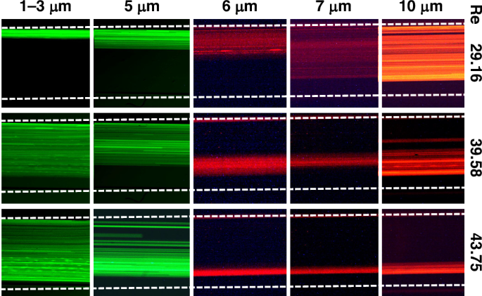 Fig. 6: In a 100 μm-high channel, the development process of inertial effects.