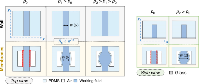 Fig. 1: Control of local elasticity.