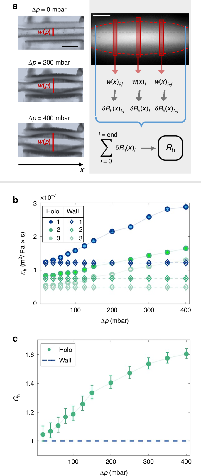 Fig. 4: Flow magnitude comparisons between wall and holoelastic devices.