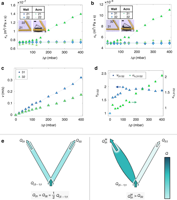 Fig. 6: Flow directionality inducing mechanism in dendritic acroelastic devices.