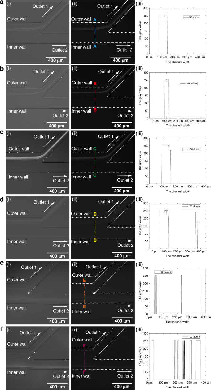 Fig. 2: Trajectories and Grayscale images of 5-μm fluorescent polystyrene microspheres at the outlet of the spiral contraction-expansion single-side coupled channel.