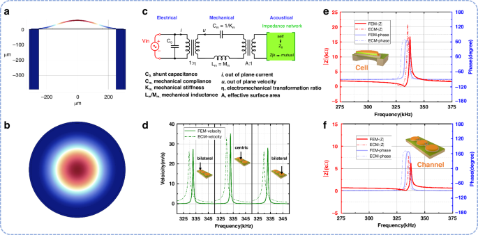 Fig. 3: The analytical simulation results of the PMUT.
