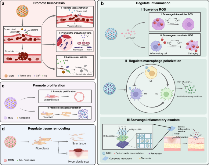 Fig. 12: Applications of silica nanoparticles (SNs) in wound healing.