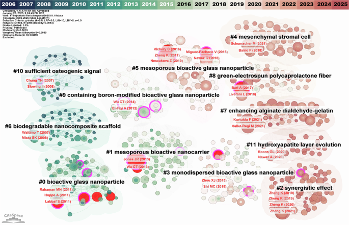 Fig. 5: Reference co-citation network and clustering diagram.
