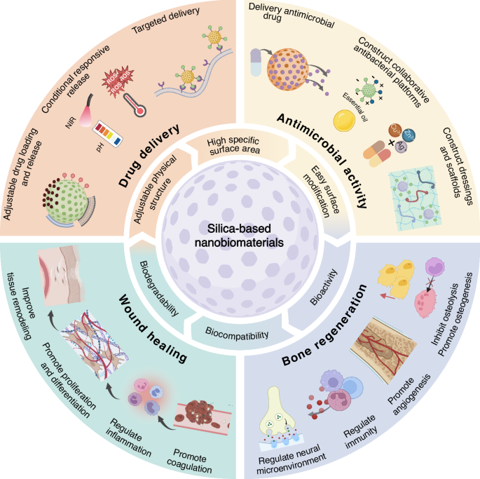 Fig. 8: Research hotspots of SNs in regenerative medicine.