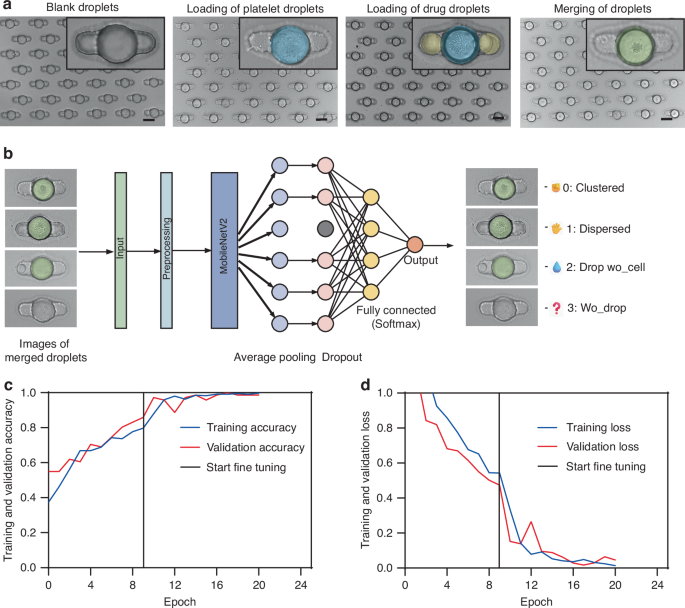 Fig. 3: The performance of the C-chip and optimization of the AI-based aggregation evaluation model.