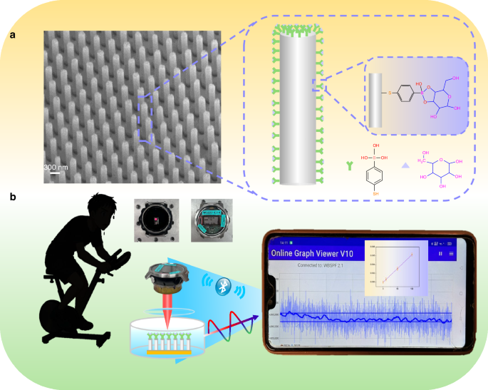 Fig. 1: The schematic diagram shows a glucose detection platform that integrates a plasma silver nanopillar sensor with an optical watch system.