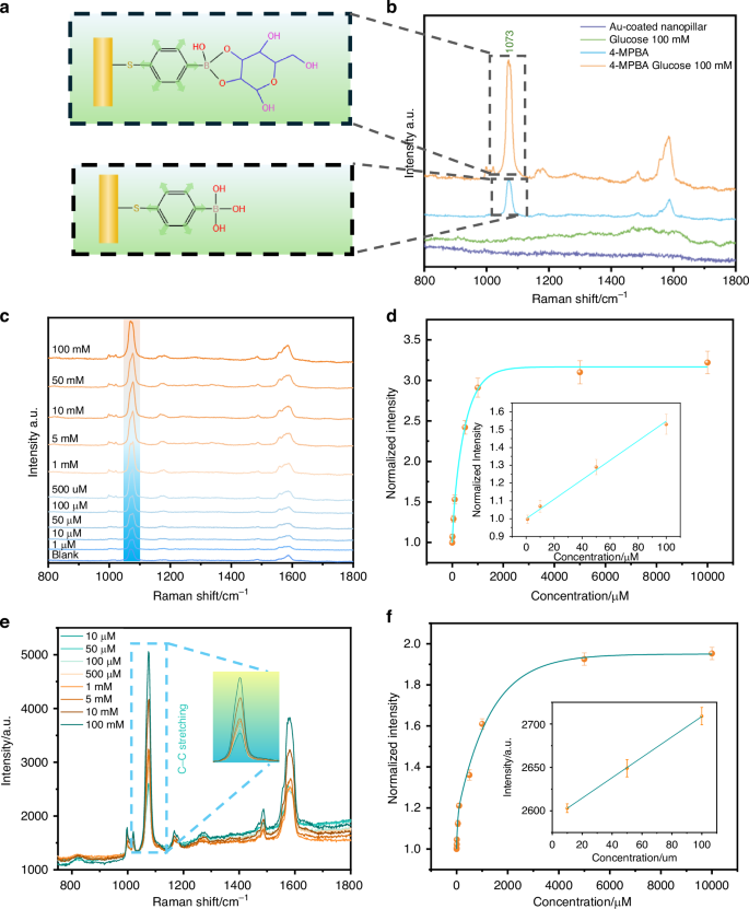 Fig. 2: SERS performance of the plasmonic nanopillars.