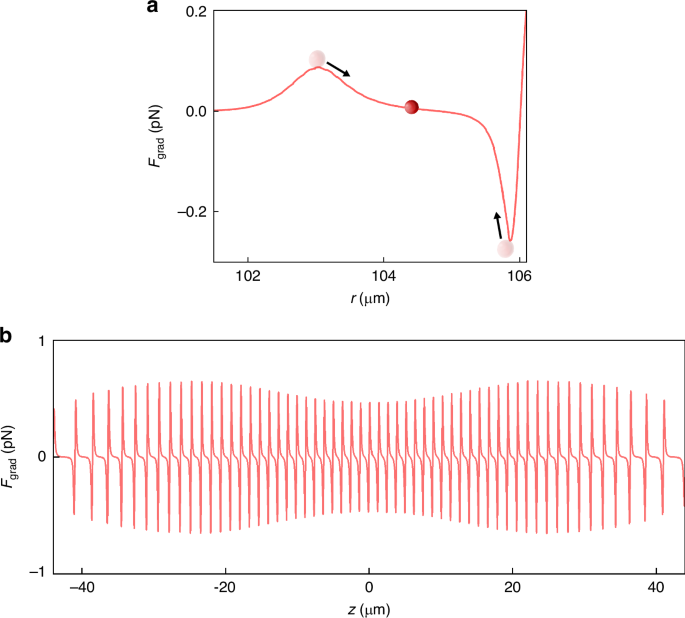 Fig. 3: Simulated optical gradient force exerted on a 500-nm-radius PS particle in the GTP WGM microbottle resonator.