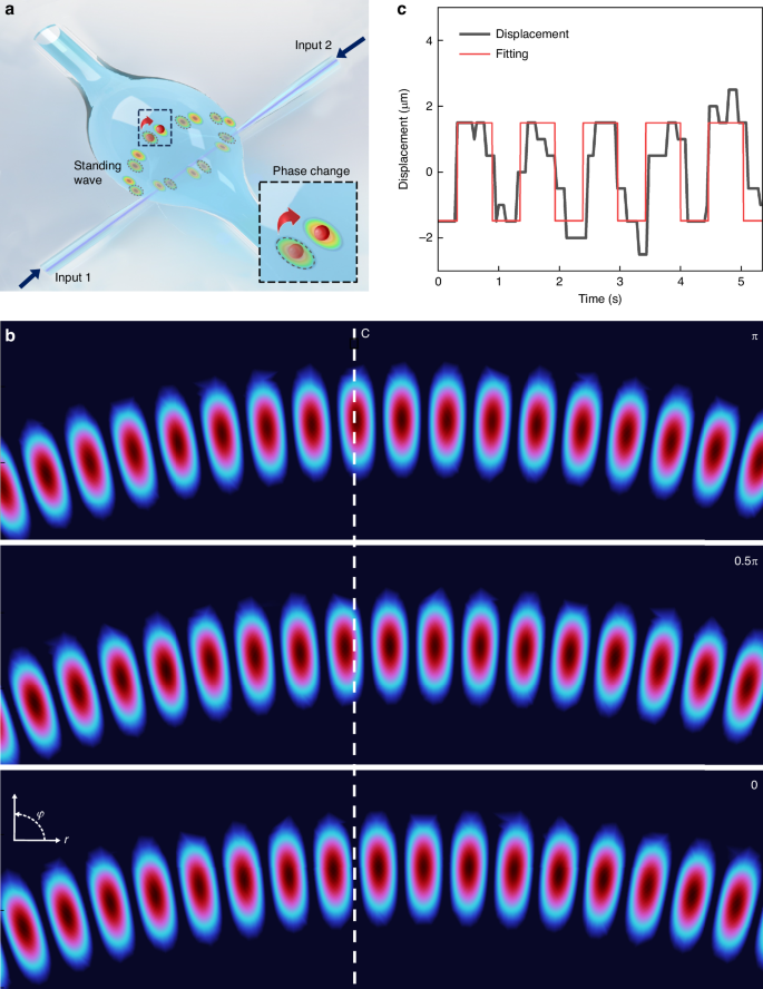 Fig. 6: Localized and tunable particle trapping via standing‑wave excitation.