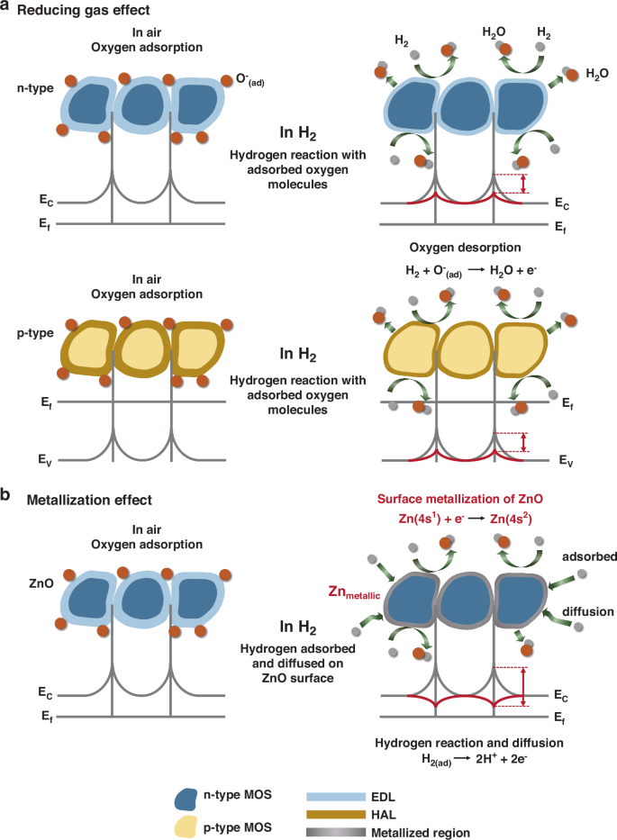 Fig. 9: Fundamental sensing mechanisms of H2 sensor based on MOSs.