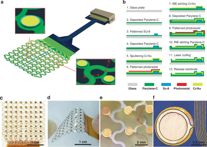 Fig. 1: The structure and process design of the bumped micro-ECoG electrode.