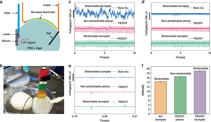 Fig. 5: Simulated neural signal recording experiments.
