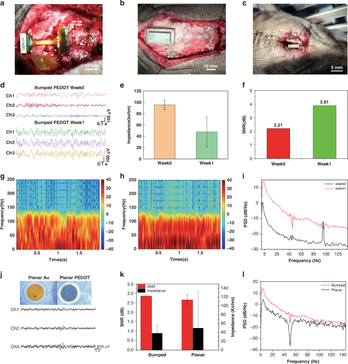 Fig. 6: Results of in vivo animal experiments.
