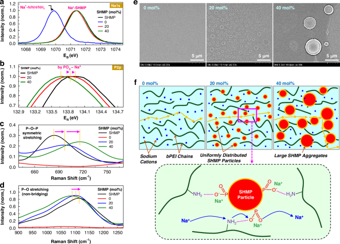 Fig. 3: Spectroscopic and morphological analysis.