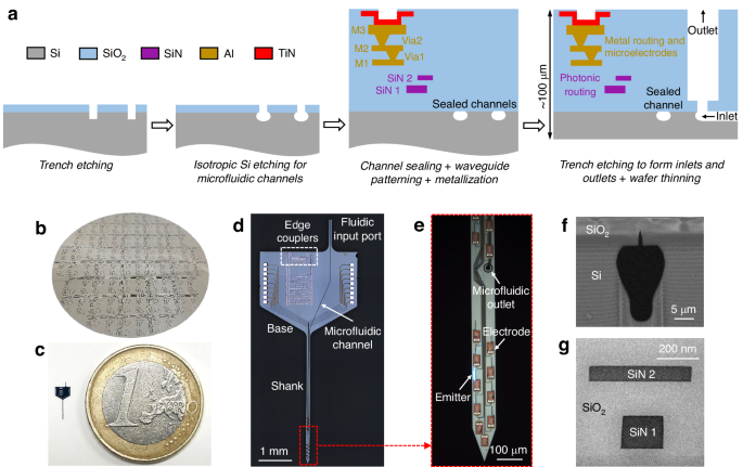 Fig. 2: Neural probe design and fabrication.