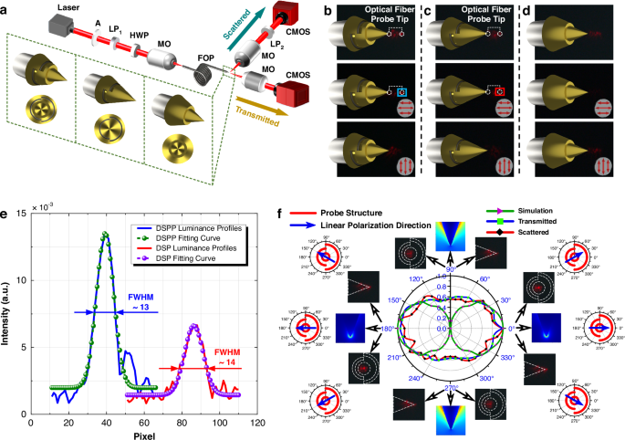 Fig. 3: Plasmonic fiber probe focused light field experiment.