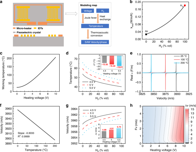 Fig. 1: Modeling of sensing mechanism and numerical calculation.