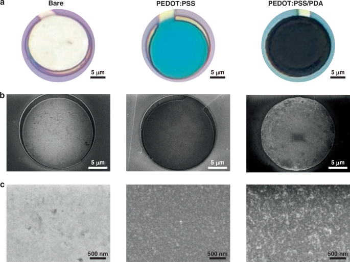 Fig. 2: Surface morphology of different coating.