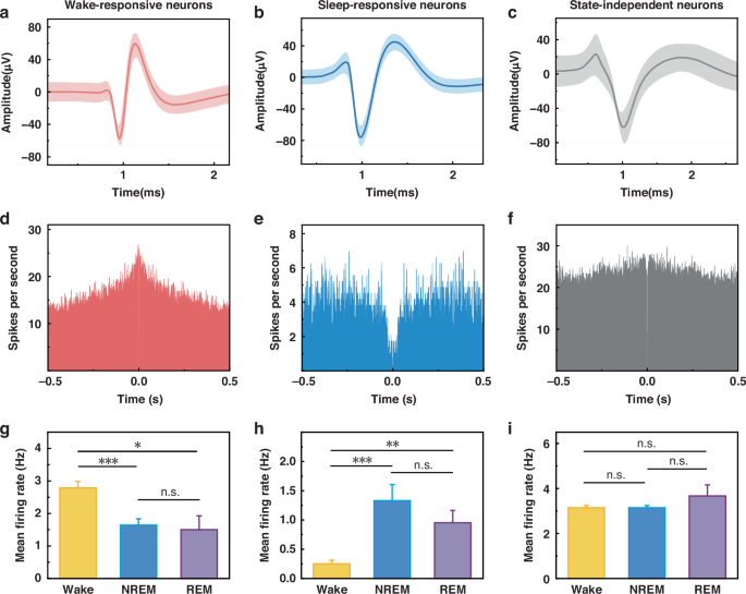 Fig. 7: Analysis of state-specific neuronal firing activity in the VTA during sleep–wake cycles.