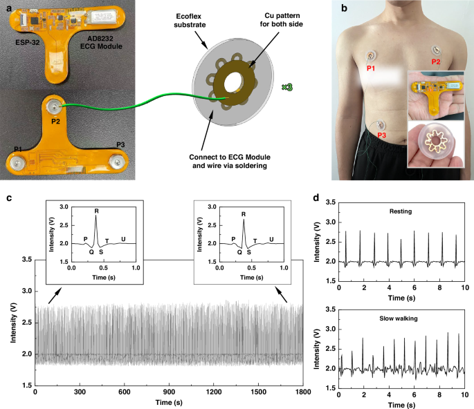 Fig. 5: Applications for ECG monitoring and flexible and stretchable silicone circuit.