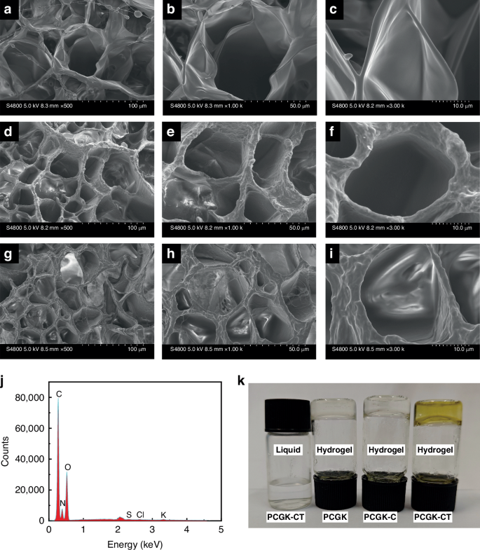 Fig. 2: Characterization of PCGK-CT hydrogel.