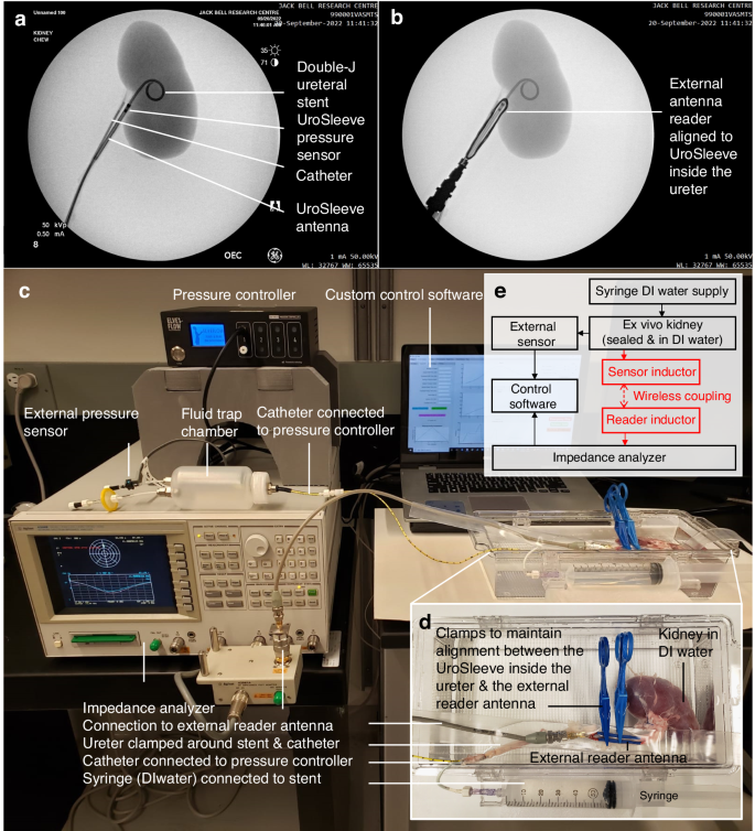 Fig. 4: Experimental setup for validation of wireless intrarenal pressure sensing.