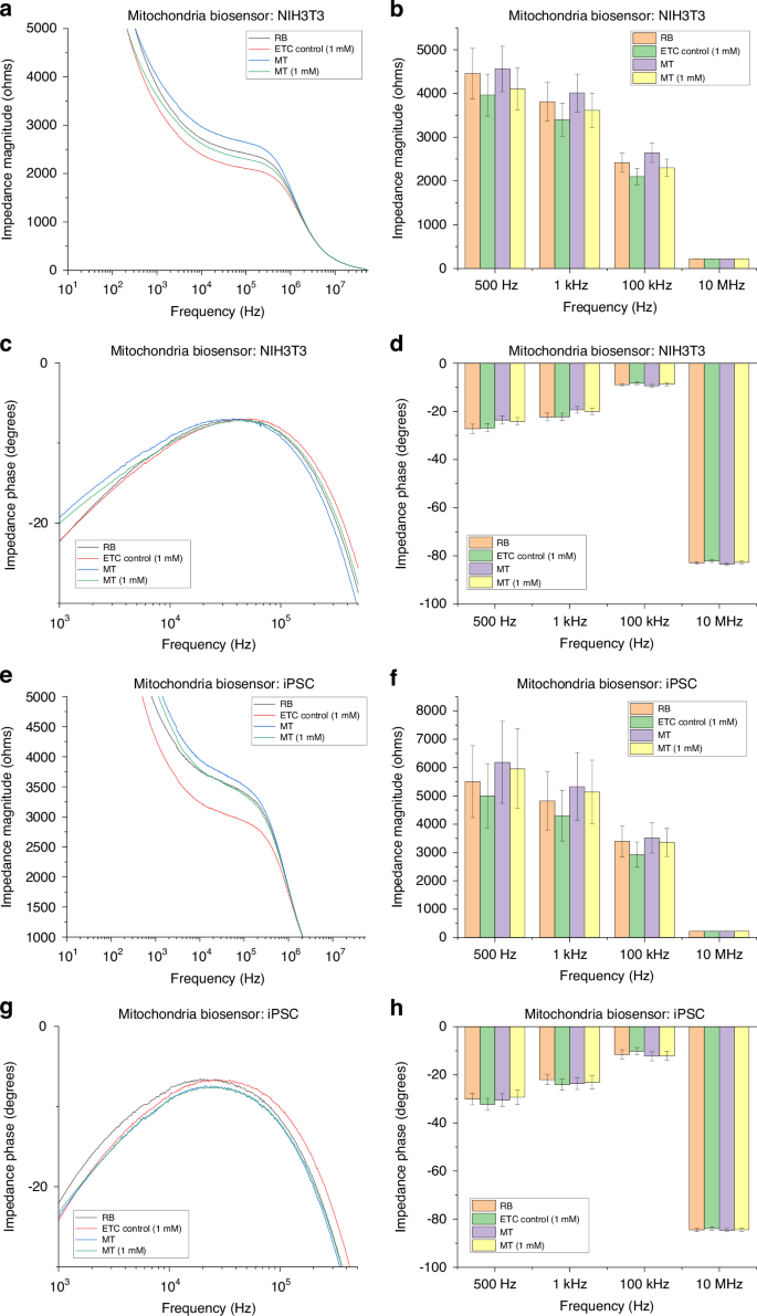 Fig. 6: Electrochemical impedance spectroscopy (EIS) magnitude and phase comparison of the mitochondrial biosensor across NIH3T3 and iPSC-derived mitochondrial models under respiratory metabolic conditions.