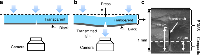 Fig. 2: Principle of structure-enhanced vision-based sensor.