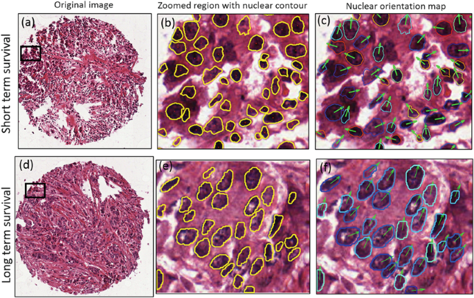 figure c