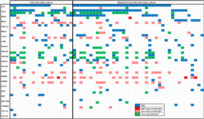 Clinicopathologic And Genetic Characteristics Of Interval Colorectal Carcinomas Favor Origin From Missed Or Incompletely Excised Precursors Modern Pathology Clinicopathologic And Genetic Characteristics Of Interval Colorectal Carcinomas Favor Origin From Missed Or Incompletely Excised Precursors Modern Pathology