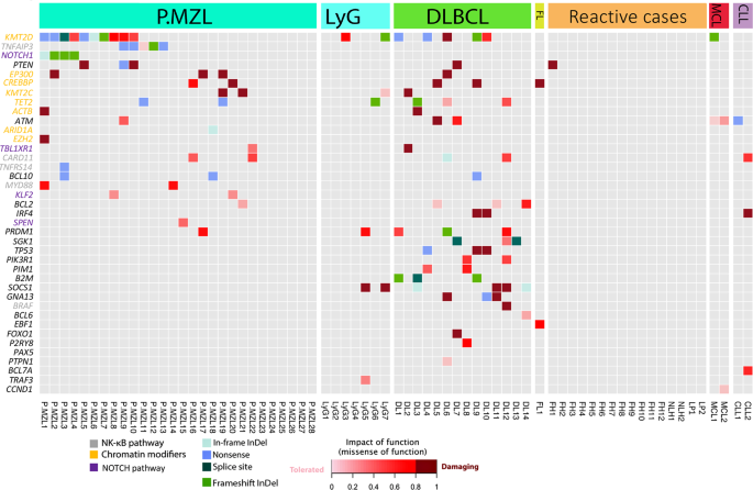 Fig. 2: Heatmap of the mutational analysis.
