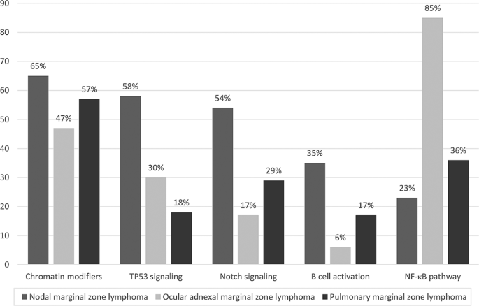 Fig. 5: Genetic landscape of selected extranodal marginal zone B-cell lymphomas according to pathways.
