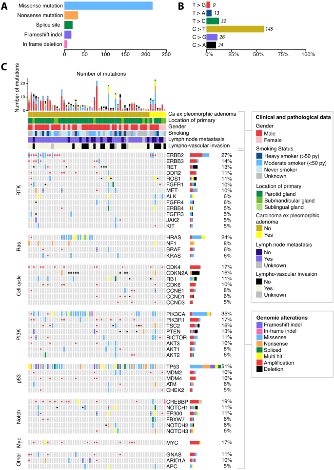 Fig. 3: Genomic events across the cohort of 63 salivary duct carcinomas.