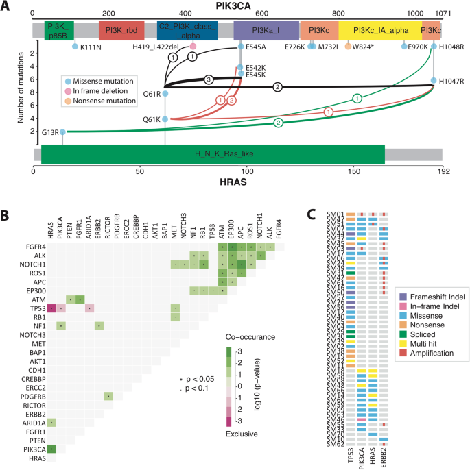 Fig. 4: Co-occurring and mutually exclusive events across the cohort of 63 salivary duct carcinomas.